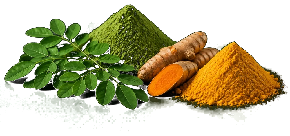 Moringa leaves and powder with turmeric root and powder