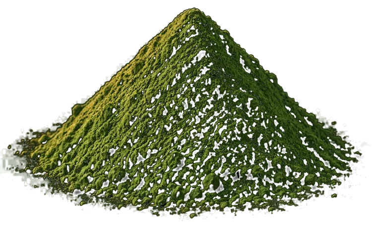 Spinach powder